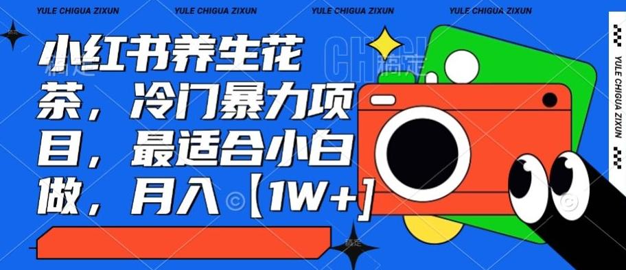 小红书养生花茶，冷门暴力项目，最适合小白做，月入【1W+】-随风资源网