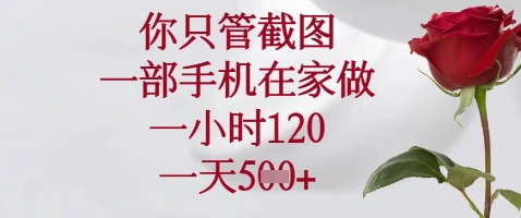 你只管截图，一部手机在家做，苹果安卓都可以，一小时120，一天5张+【揭秘】-随风资源网