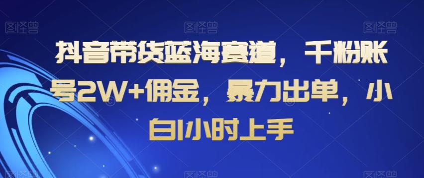 抖音带货蓝海赛道，千粉账号2W+佣金，暴力出单，小白1小时上手【揭秘】-随风资源网