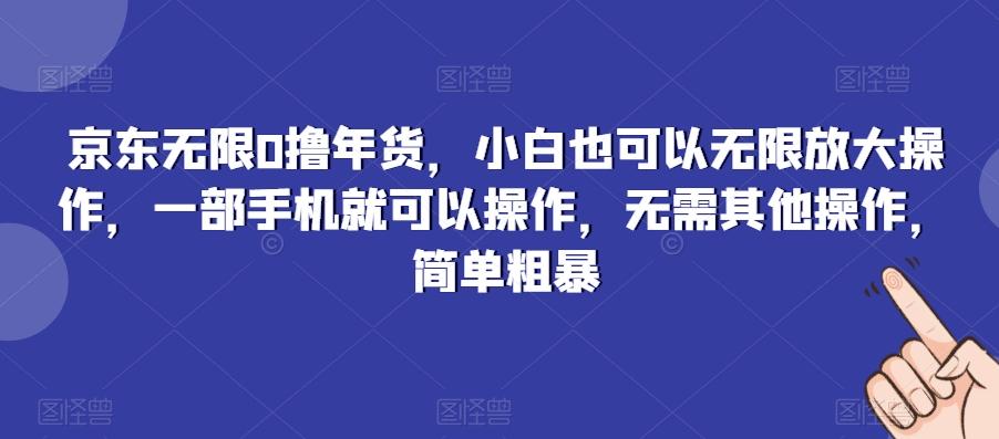 京东无限0撸年货，小白也可以无限放大操作，一部手机就可以操作，无需其他操作，简单粗暴-随风资源网