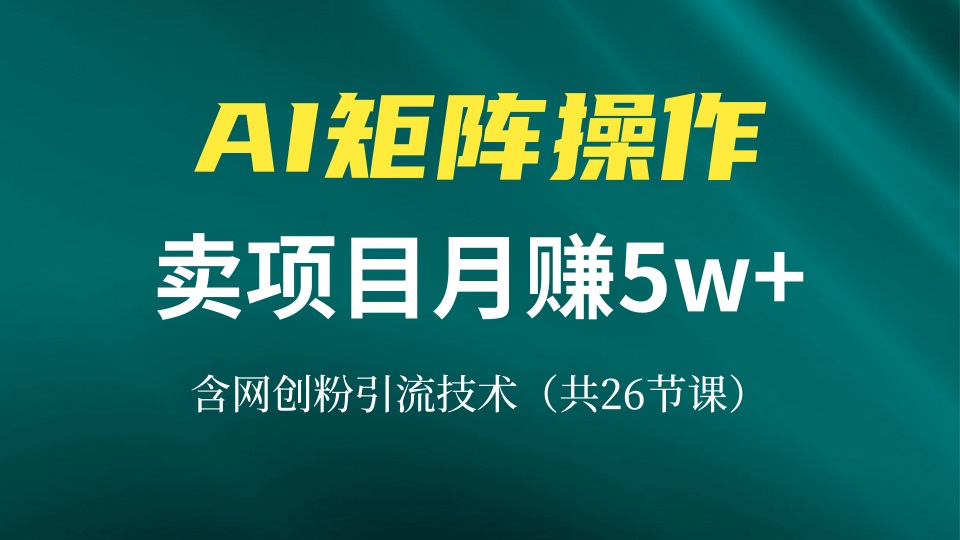 网创IP打造课，借助AI卖项目月赚5万+，含引流技术(共26节课-随风资源网