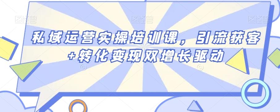 私域运营实操培训课，引流获客+转化变现双增长驱动-随风资源网