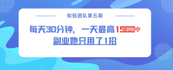 副业她只用了1招，每天30分钟，无脑二创，一天最高1.5k-随风资源网