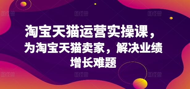 淘宝天猫运营实操课，为淘宝天猫卖家，解决业绩增长难题-随风资源网
