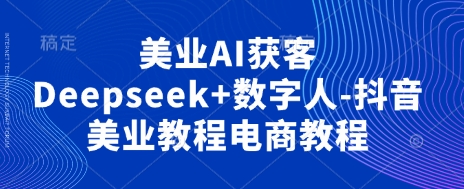 美业AI获客Deepseek+数字人-抖音美业教程电商教程-随风资源网