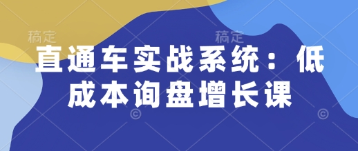 直通车实战系统：低成本询盘增长课，让个人通过技能实现升职加薪，让企业低成本获客，订单源源不断-随风资源网