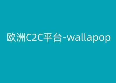 欧洲C2C平台-wallapop-kim跨境电商教程-随风资源网
