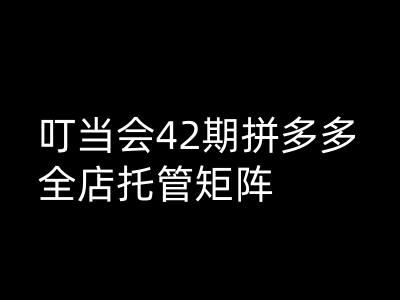 叮当会拼多多打爆班原创高阶技术第42期，拼多多全店托管矩阵-随风资源网