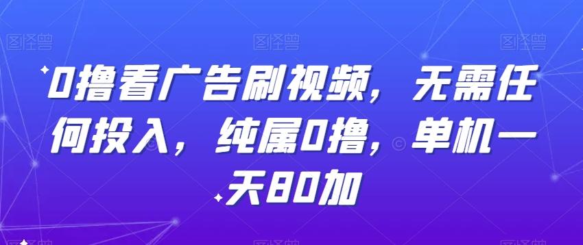 0撸看广告刷视频，无需任何投入，纯属0撸，单机一天80加-随风资源网