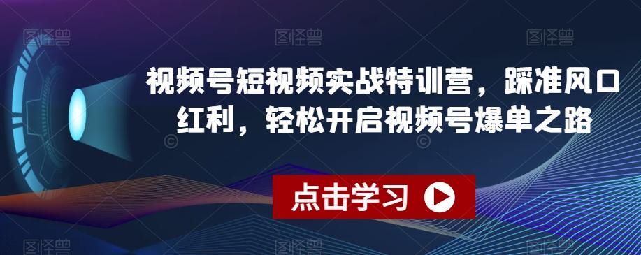 视频号短视频实战特训营，踩准风口红利，轻松开启视频号爆单之路-随风资源网
