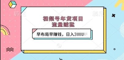 视频号年货项目，流量贼猛，早布局早挣钱，日入上k【揭秘】-随风资源网