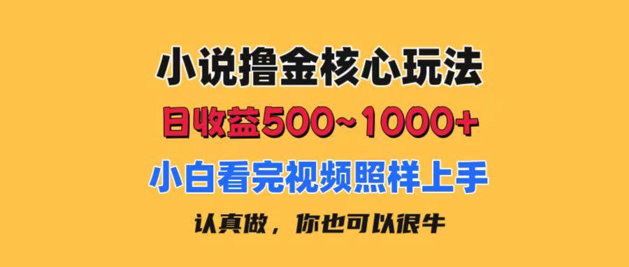小说撸金核心玩法，日收益500-1000+，小白看完照样上手，0成本有手就行-随风资源网