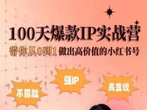 小红书100天爆款IP实战营，带你从0到1做出高价值的小红书号-随风资源网