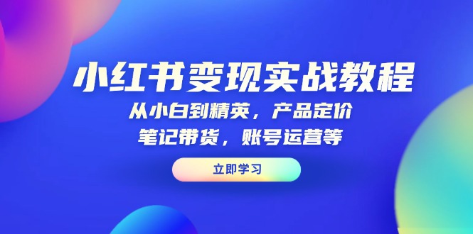 小红书变现实战教程：从小白到精英，产品定价，笔记带货，账号运营等-随风资源网
