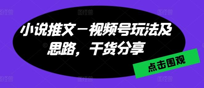 小说推文—视频号玩法及思路，干货分享-随风资源网