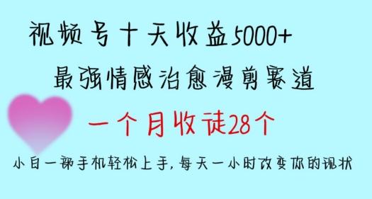 十天收益5000+，多平台捞金，视频号情感治愈漫剪，一个月收徒28个，小白一部手机轻松上手【揭秘】-随风资源网