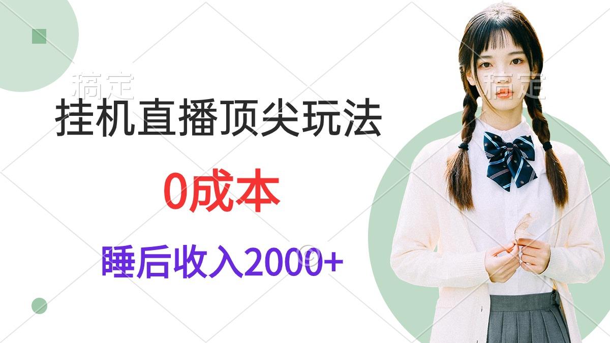 (9715期)挂机直播顶尖玩法，睡后日收入2000+、0成本，视频教学-随风资源网