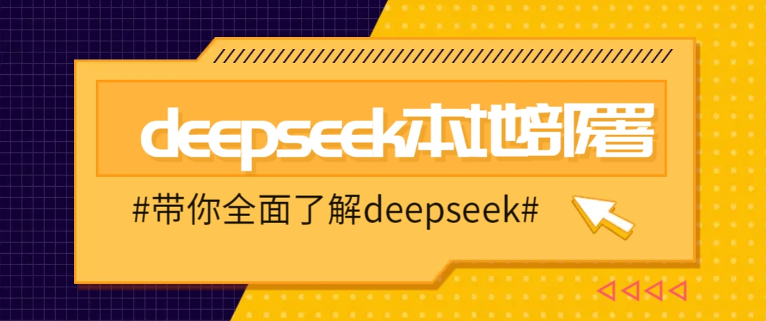 DeepSeek本地部署详细教程，轻松将deepseek部署到你的电脑上-随风资源网