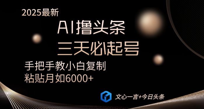 AI撸头条三天必起号手把手教小白复制粘贴月入6000+教程-随风资源网