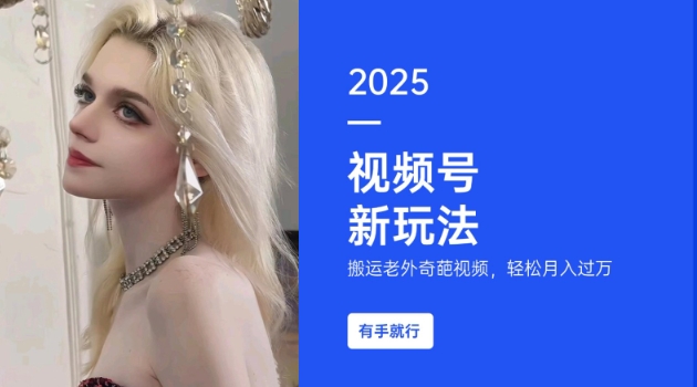 搬运老外奇葩视频，撸视频号分成计划收益，每天只需一小时，新手小白轻松月入过W-随风资源网