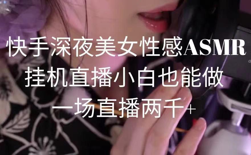 快手深夜美女性感ASMR挂机直播，小白也能做，一场直播两千+-随风资源网
