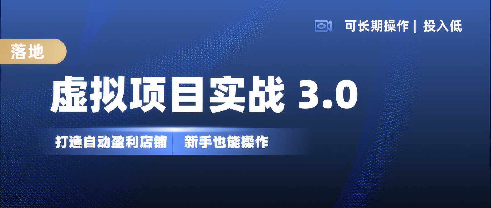 虚拟项目实操落地 3.0,新手轻松上手，单品月入1W+-随风资源网