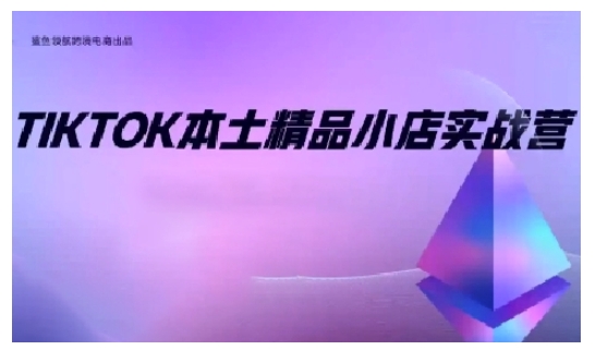 TikTok本土精品小店出海实战营，从入门到高阶，不止0-1!-随风资源网