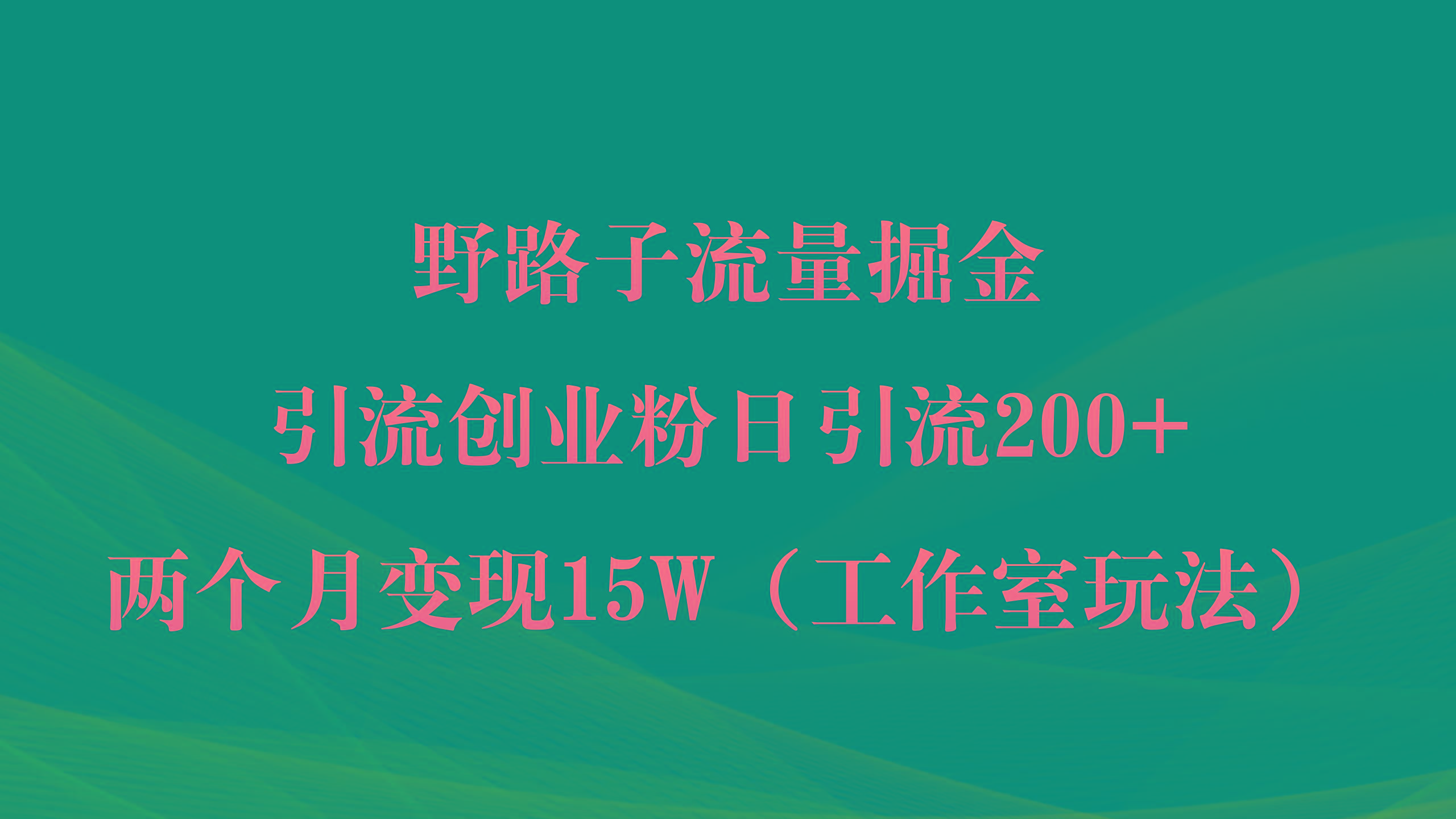 (9513期)野路子流量掘金，引流创业粉日引流200+，两个月变现15W(工作室玩法))-随风资源网