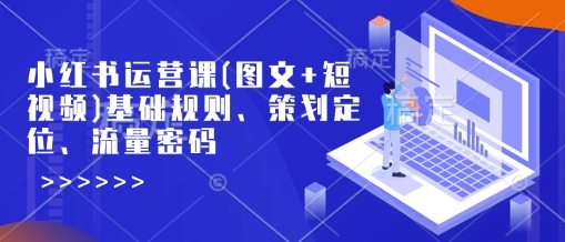 小红书运营课(图文+短视频)基础规则、策划定位、流量密码-随风资源网