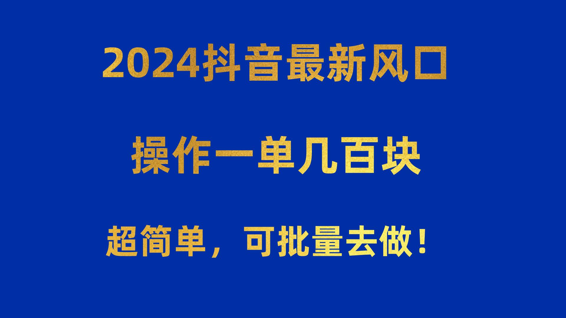2024抖音最新风口！操作一单几百块！超简单，可批量去做！！！-随风资源网