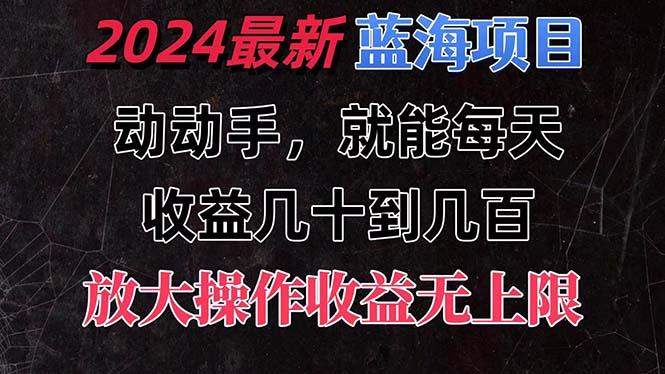 有手就行的2024全新蓝海项目，每天1小时收益几十到几百，可放大操作收…-随风资源网