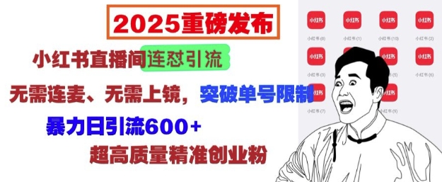 2025重磅发布：小红书直播间连怼引流，无需连麦、无需上镜，突破单号限制，暴力日引流600+-随风资源网