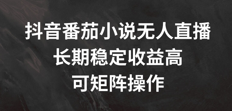 抖音番茄小说无人直播，长期稳定收益高，可矩阵操作【揭秘】-随风资源网