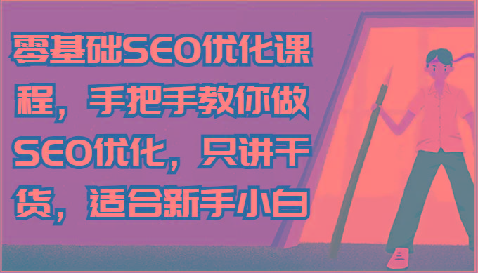 零基础SEO优化课程，手把手教你做SEO优化，只讲干货，适合新手小白-随风资源网