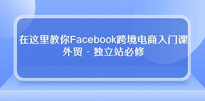 在这里教你Facebook跨境电商入门课，外贸·独立站必修-随风资源网