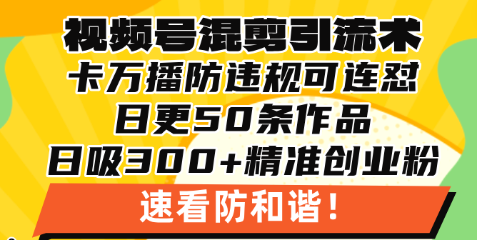 视频号混剪引流技术，500万播放引流17000创业粉，操作简单当天学会-随风资源网