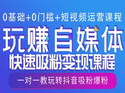 0基础+0门槛+短视频运营课程，玩赚自媒体快速吸粉变现课程，一对一教玩转抖音吸粉爆粉-随风资源网