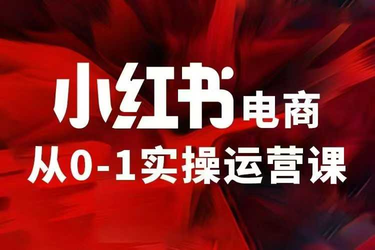 小红书电商运营，97节小红书vip内部课，带你实现小红书赚钱-随风资源网