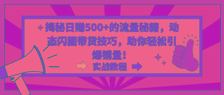 揭秘日赚500+的流量秘籍，动态闪图带货技巧，助你轻松引爆销量！-随风资源网