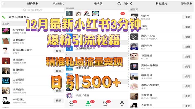 12月最新小红书3分钟爆粉引流秘籍 精准私域流量变现 日引500+-随风资源网