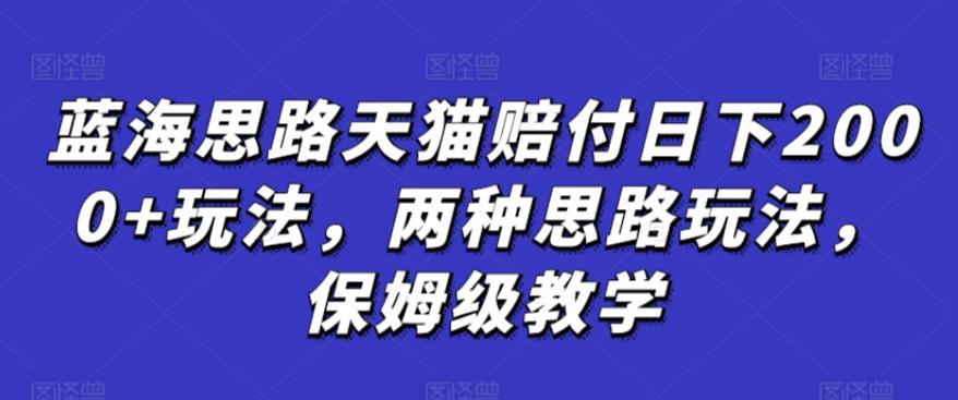 蓝海思路天猫赔付日下2000+玩法，两种思路玩法，保姆级教学【仅揭秘】-随风资源网