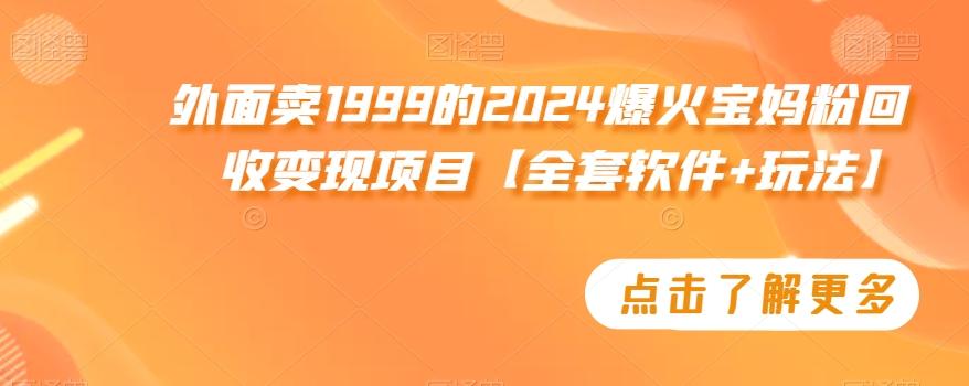 外面卖1999的2024爆火宝妈粉回收变现项目【全套软件+玩法】【揭秘】-随风资源网