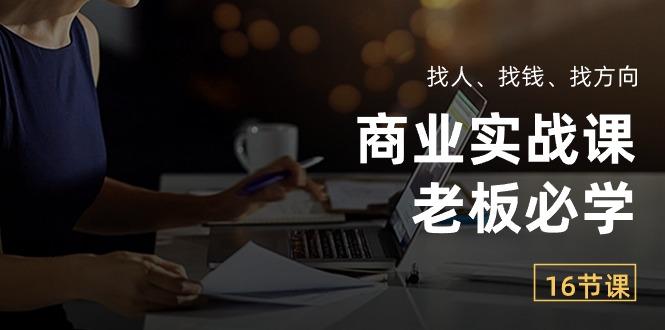 商业实战课【老板必学】：找人、找钱、找方向(16节课-随风资源网