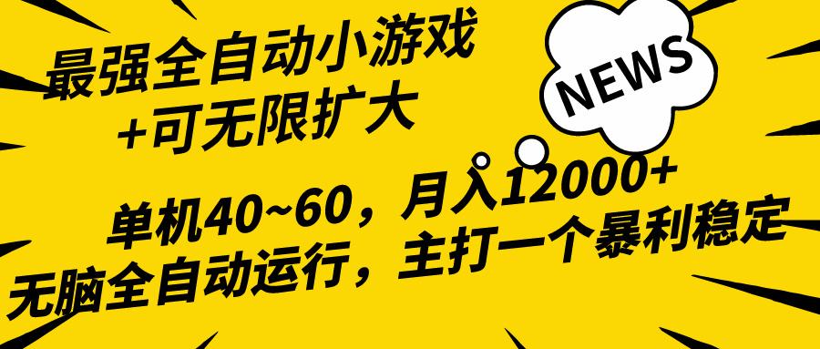 (10046期)2024最新全网独家小游戏全自动，单机40~60,稳定躺赚，小白都能月入过万-随风资源网