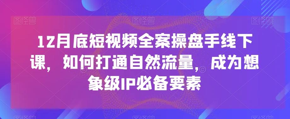 12月底短视频全案操盘手线下课，如何打通自然流量，成为想象级IP必备要素-随风资源网