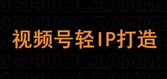 视频号线上课程，视频号轻IP打造-随风资源网