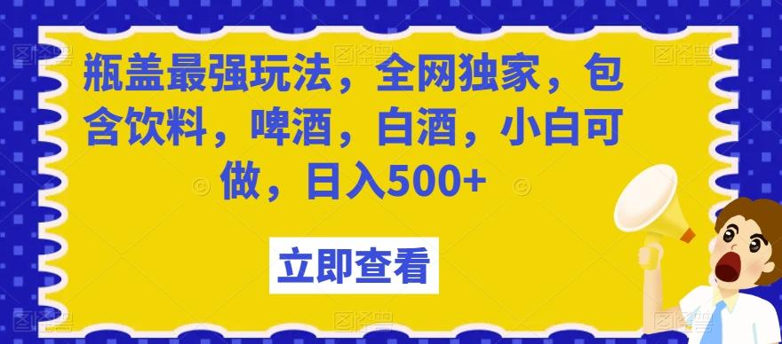瓶盖最强玩法，全网独家，包含饮料，啤酒，白酒，小白可做，日入500+【揭秘】-随风资源网