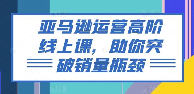亚马逊运营高阶线上课，助你突破销量瓶颈-随风资源网