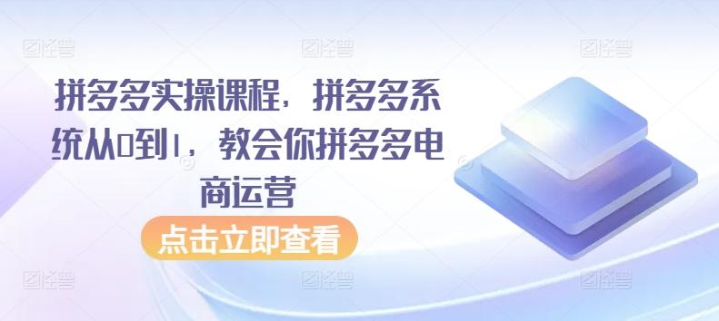 拼多多实操课程，拼多多系统从0到1，教会你拼多多电商运营-随风资源网