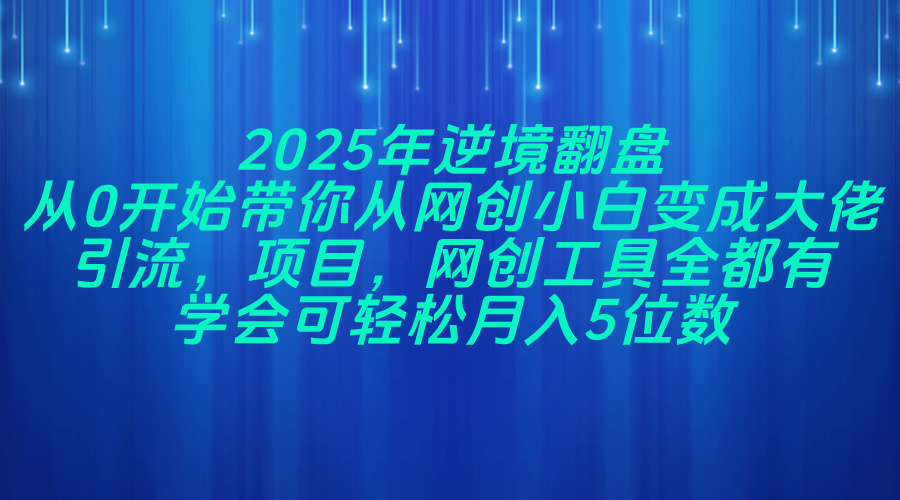 2025年逆境翻盘，从0开始带你从网创小白变成大佬，引流，项目，网创工…-随风资源网